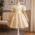Girls Champagne Organza Embroidered Lined Handmade Dress