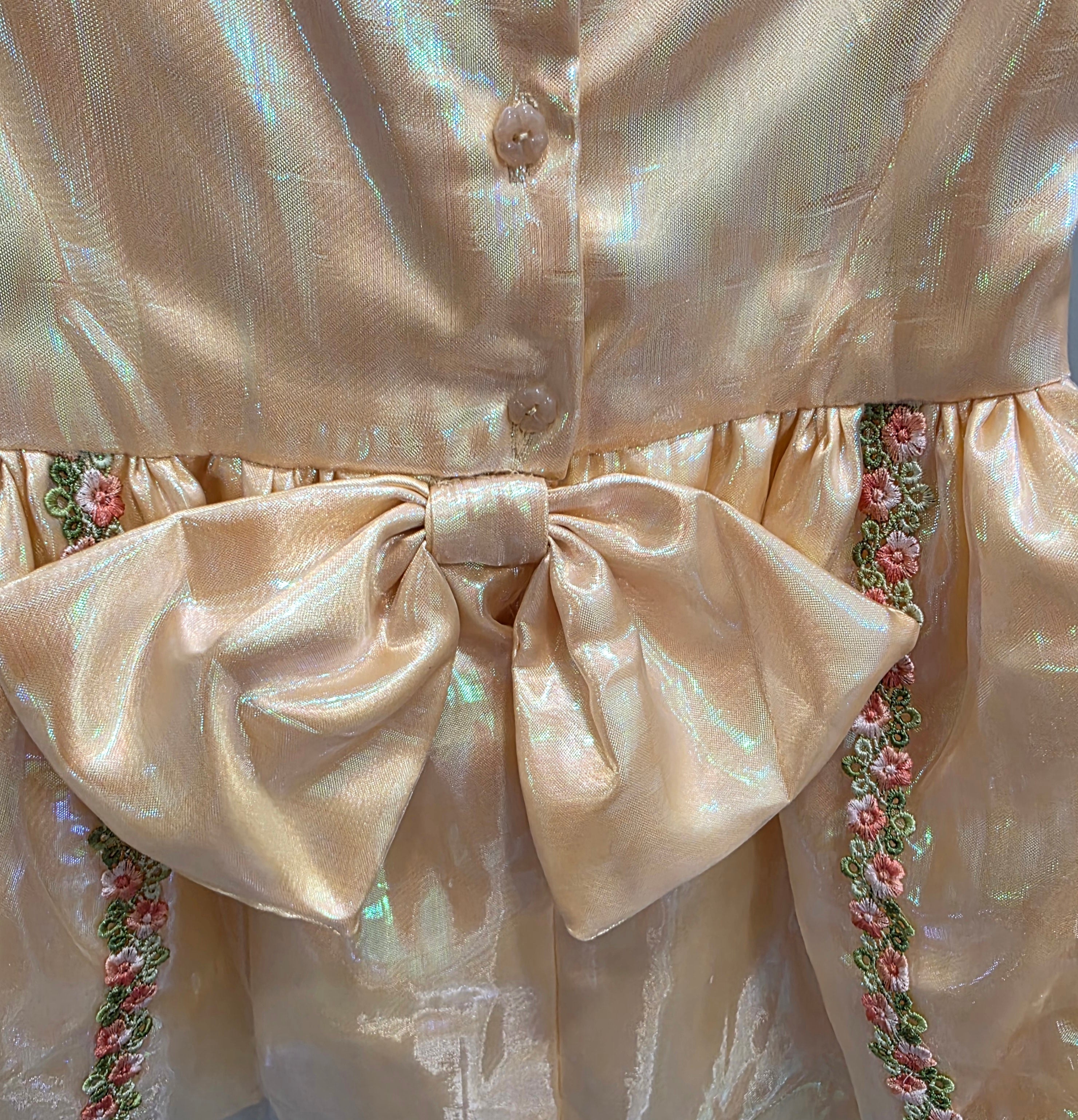 Girls Champagne Organza Embroidered Lined Handmade Dress