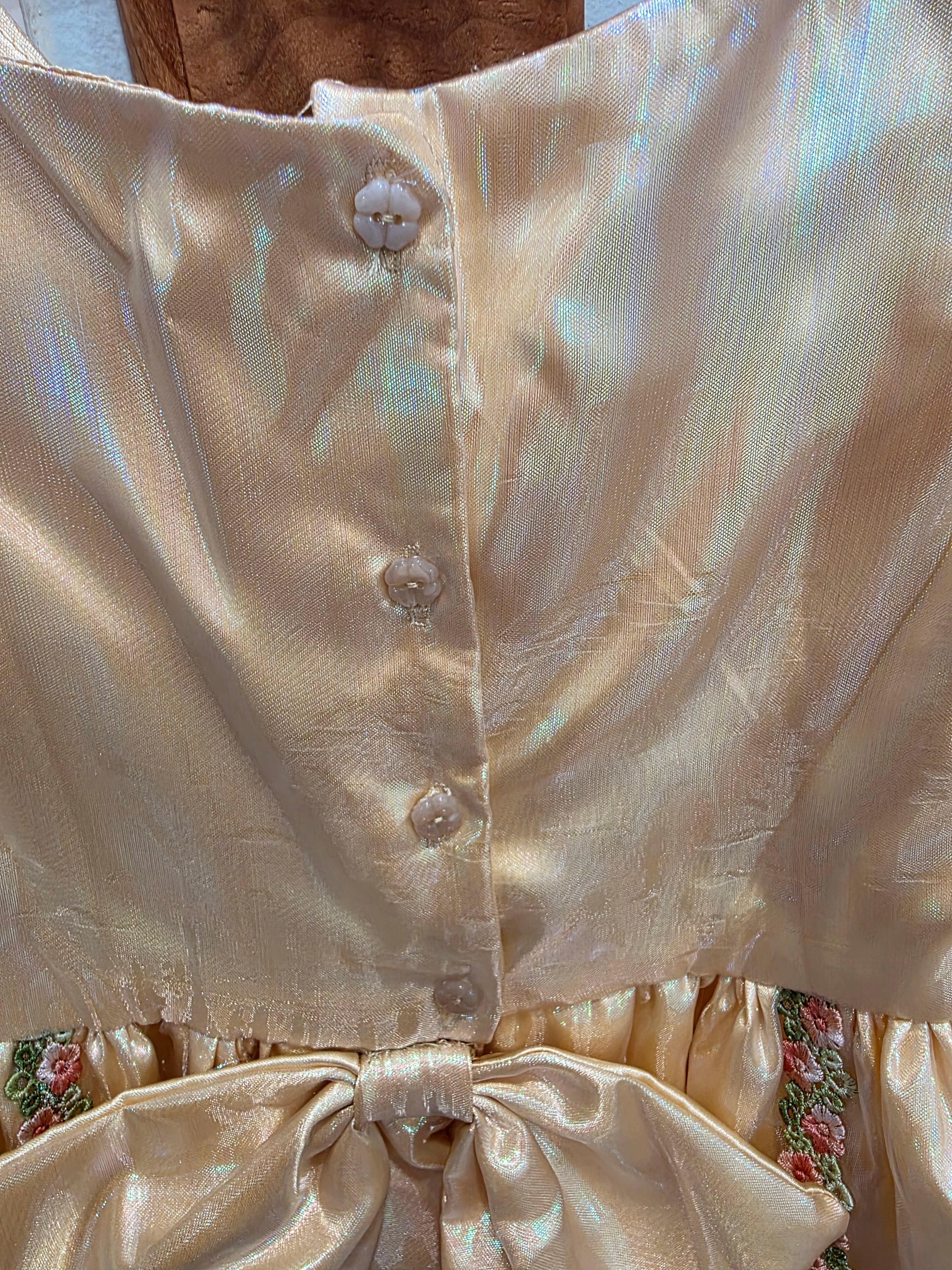 Girls Champagne Organza Embroidered Lined Handmade Dress